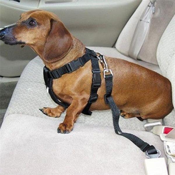 Pet Safety Seatbelt