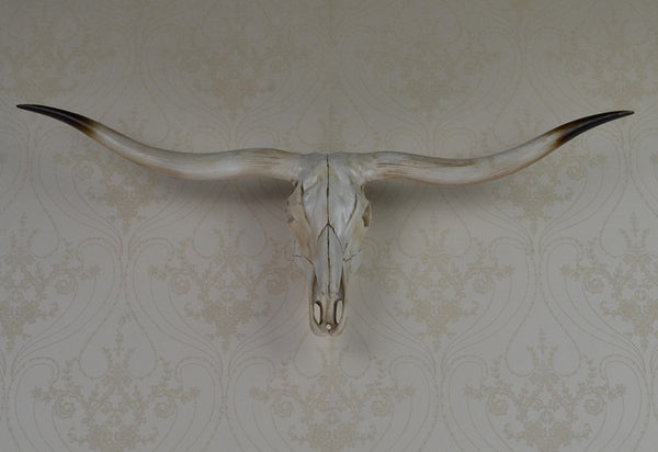 Faux Taxidermy Longhorn Skull Wall Art