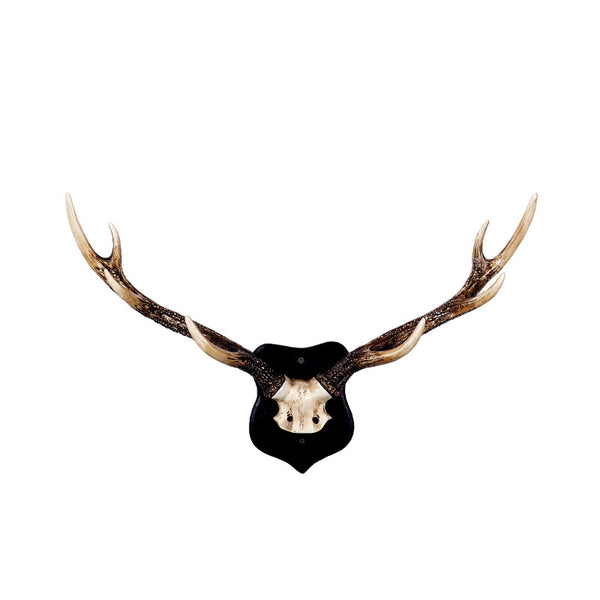 Faux Antler Hook